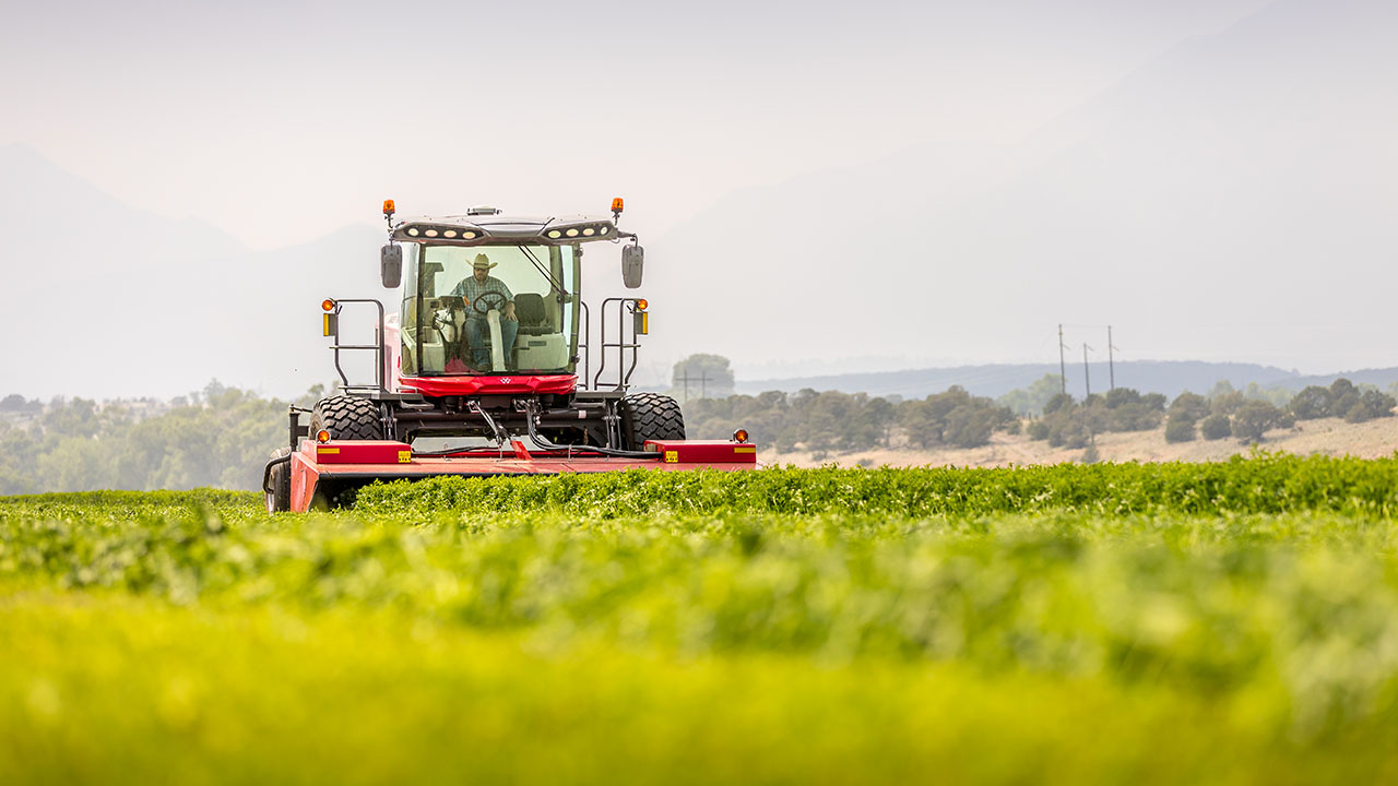 Hesston by Massey Ferguson self-propelled windrower cutting green forage in open field, built for high-speed mowing and precise crop handling.