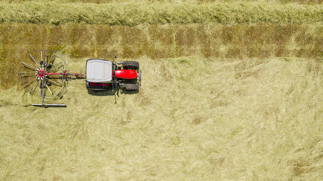 Top view of Massey Ferguson tractor with rotary rake forming windrows in a hayfield, highlighting efficient forage harvesting.
