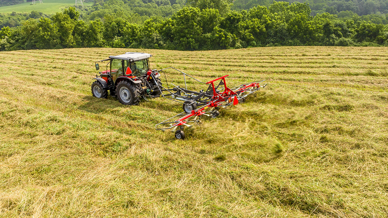 Massey Ferguson tractor operating MF TDX Series Tedder in hayfield, spreading cut crop for faster, even drying and forage quality.