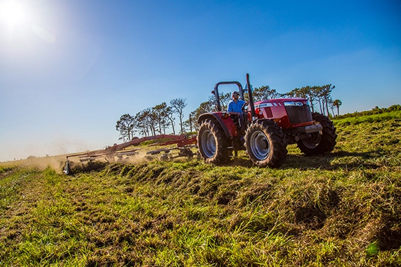 Massey Ferguson 4700 Series utility tractor with open platform raking hay with MF Rakes.