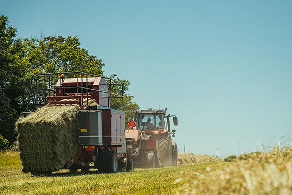 Massey Ferguson 6S Series tractor baling hay with Hesston by Massey Ferguson 1800 Series small square baler and bale stacker.