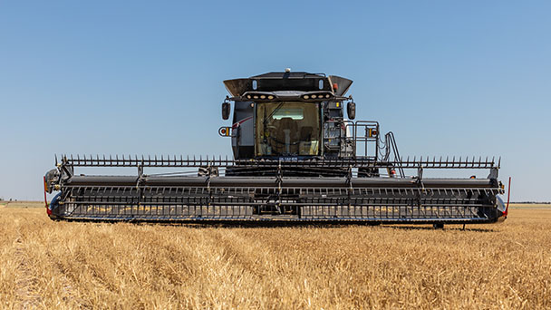 Front view of Gleaner 9300 Series head harvesting a golden wheat field under clear blue skies.