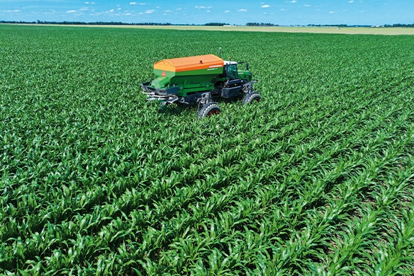 Amazone ZG-TS high-capacity spreader efficiently applying nutrients in tall row crop corn, viewed from above.