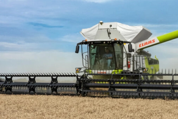 Close-up front view of CLAAS LEXION combine cab and header cutting through wheat, with auger extended and crop flowing smoothly.