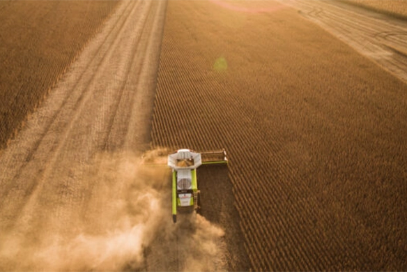 Overhead view of CLAAS LEXION combine creating straight, uniform harvest rows in a soybean field at sunset with a dust trail behind.
