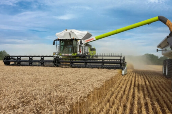 Front view of CLAAS LEXION 8000 Series combine unloading harvested grain into a trailer with even, clean cut rows in a wheat field.