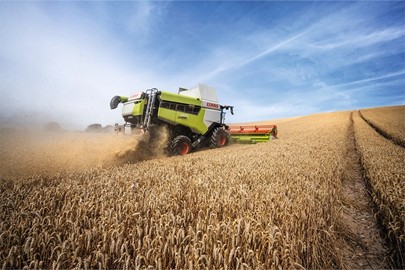 CLAAS LEXION 7900 combine harvester cutting through golden wheat on a hillside, showcasing power and precision under a blue sky.