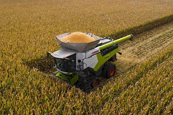 Aerial view of CLAAS LEXION 8700 combine harvesting corn with a full grain tank, demonstrating efficient harvesting and high output.