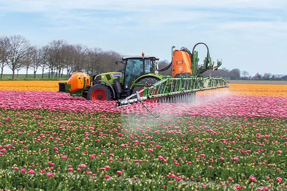 Amazone UF-02 mounted sprayer applying product to a field of pink and orange tulips.