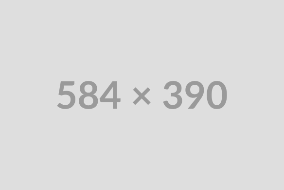 Flexible Content placeholder 584x390