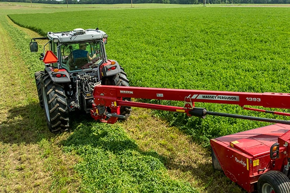 Massey Ferguson 5M tractor operating a mower-conditioner to cut forage in a green crop field.