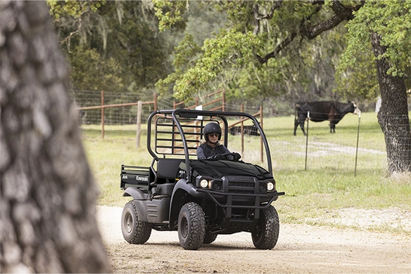 Green Kawasaki Mule SX 4x4 driven along a dirt path near cattle, with a fenced pasture in the background.