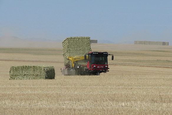 Mil-Stak SP/3255 self-propelled stacker lifting and stacking large hay bales.