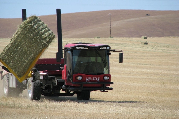 Side view of Mil-Stak SP/3255 stacking hay bales with yellow grapple arm.