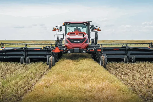 MacDon M2 series windrower showing it's expansive cutting width