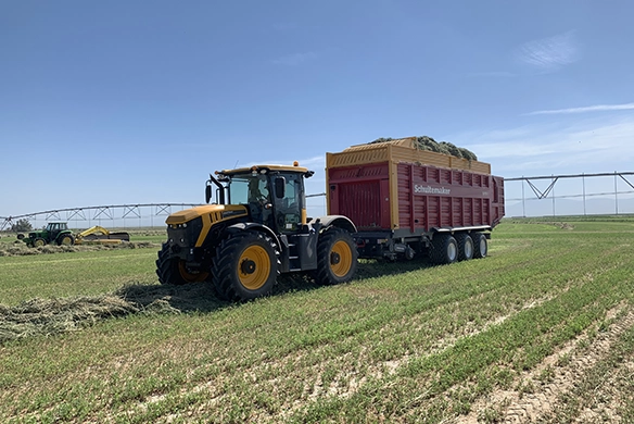 JCB 4000 Series ag tractor hauling a forage wagon during harvest operations, delivering power, efficiency, and versatility in crop collection