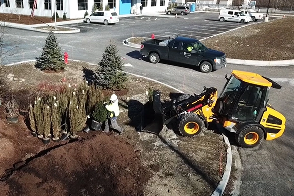 JCB 407 wheel loader performing landscaping work, moving soil near planted shrubs in a commercial parking lot