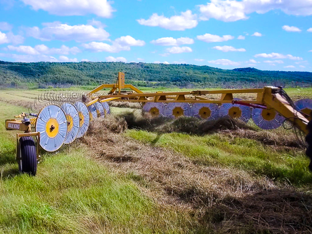 Bale King Hay Rake